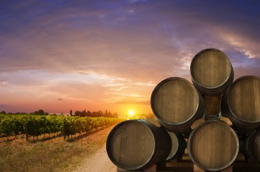 Tuscany, İtalya 'da üzüm bağında kırmızı şarap