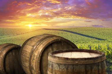 Tuscany, İtalya 'da üzüm bağında kırmızı şarap