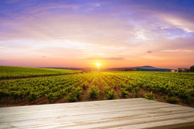 Tuscany, İtalya 'da üzüm bağında kırmızı şarap