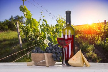 Teras bağ üzerinde kırmızı şarap