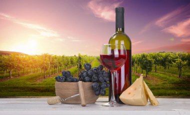 Teras bağ üzerinde kırmızı şarap