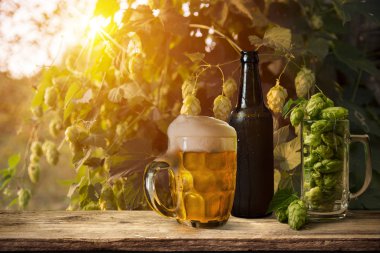 Kırsal kesimde bira fıçısı ve bir bardak bira.