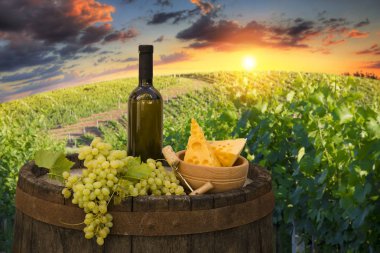 Tuscany, İtalya 'da üzüm bağında kırmızı şarap