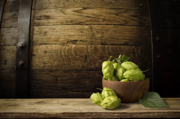 Hopfendolden mit Bier — Stockfoto