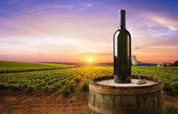 酒与托斯卡纳日落的葡萄园。意大利 — 图库照片