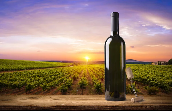 Vinho e vinha no pôr-do-sol da Toscana. Itália — Fotografia de Stock