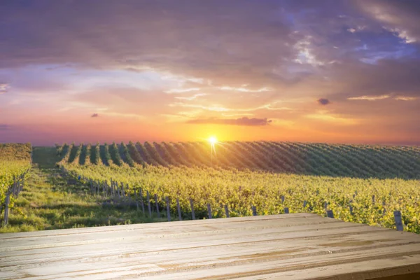 Red wine with barrel on vineyard in green Tuscany, Italy — Stock Photo, Image