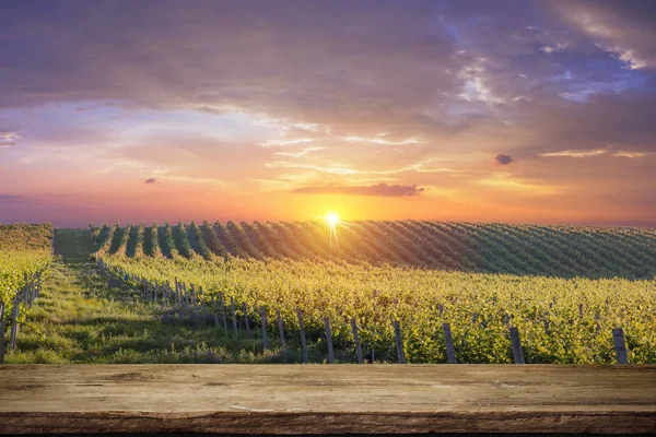 Red wine with barrel on vineyard in green Tuscany, Italy — Stock Photo, Image