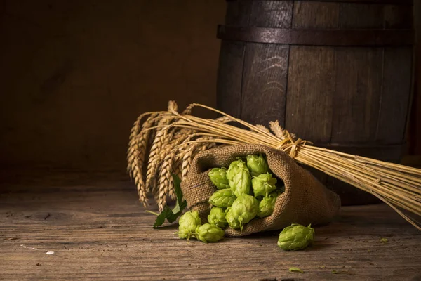 Glas Bier mit Hopfendolden im Hopfenfeld — Stockfoto