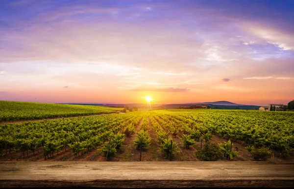Vino tinto con barril en viñedo verde Toscana, Italia — Foto de Stock