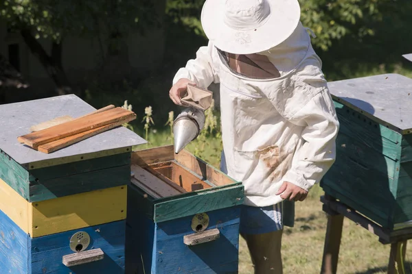 El apicultor en el campo de las flores . —  Fotos de Stock