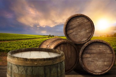 Tuscany, İtalya 'da üzüm bağında kırmızı şarap