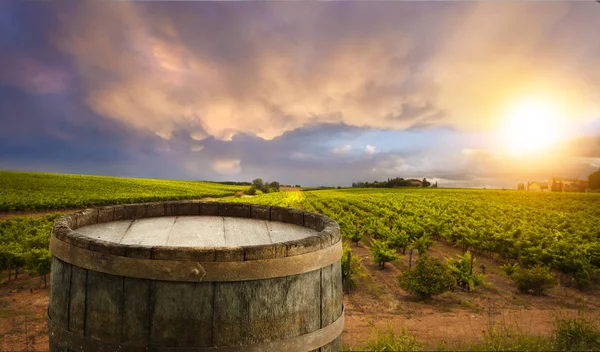 Red wine with barrel on vineyard in green Tuscany, Italy — Stock Photo, Image
