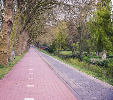 Laleli manzara, geleneksel yel değirmenleri ve Zaanse Schans, Hollanda, Avrupa 'daki kanal yakınlarındaki evler