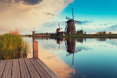 Laleli manzara, geleneksel yel değirmenleri ve Zaanse Schans, Hollanda, Avrupa 'daki kanal yakınlarındaki evler.