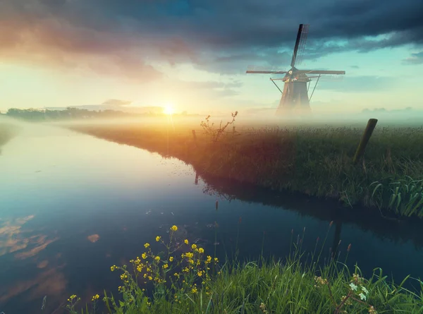 Landscape with tulips, traditional dutch windmills and houses near the canal in Zaanse Schans, Netherlands, Europe. — Stock Photo, Image