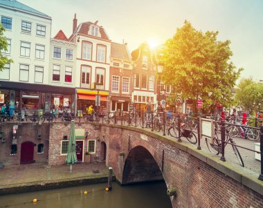 Hollanda 'nın geleneksel yel değirmeni ve laleleri ile Hollanda manzarası