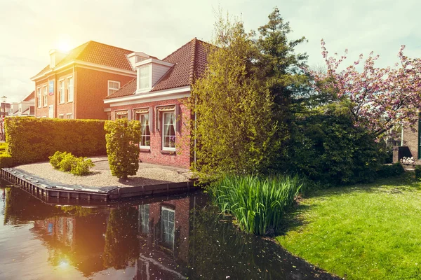 Traditioneel Nederland Hollands landschap met één typische windmolen en tulpen, Nederlands platteland — Stockfoto