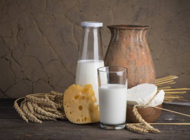 protein ürünleri: peynir, krema, süt ve yumurta. Beyaz bir arka plan üzerinde.