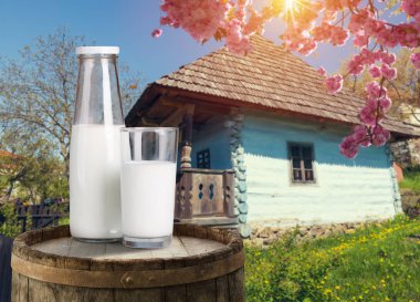 Süt cam ve süt sürahi papatya Çayır Mera arka planda Alps dağlarda, İsviçre