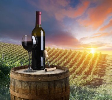 Altın ışık boğulmuş güzel sonbahar bataklık sahne korumalı sulak alanlar