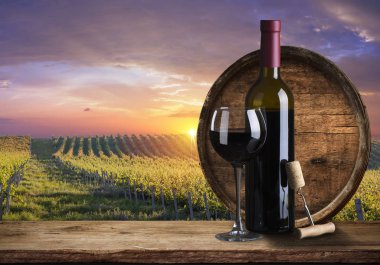 Tuscany, İtalya 'da üzüm bağında kırmızı şarap