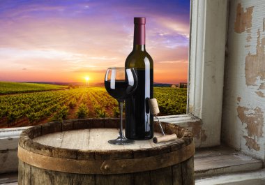 Tuscany, İtalya 'da üzüm bağında kırmızı şarap