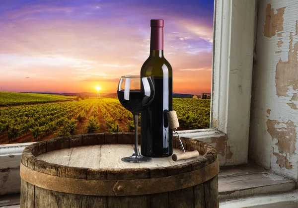 Tuscany, İtalya 'da üzüm bağında kırmızı şarap