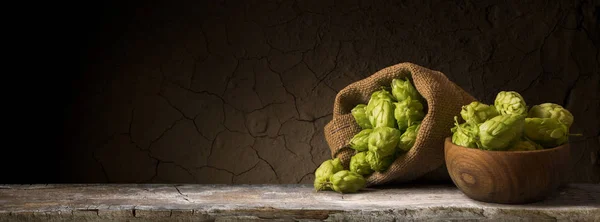 Bodegón con un barril de cerveza y lúpulo. — Foto de Stock