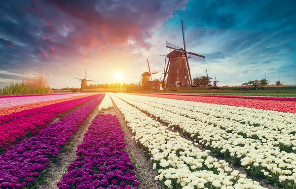 Sol detrás del molino de viento holandés, Groningen, Países Bajos — Foto de Stock
