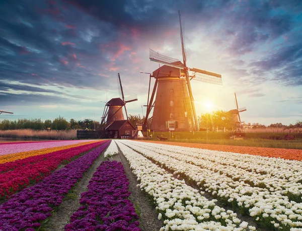 Sunshine behind Dutch windmill, Groningen, Pays-Bas — Photo