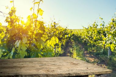 Tuscany, İtalya 'da üzüm bağında kırmızı şarap