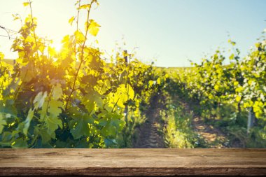 Tuscany, İtalya 'da üzüm bağında kırmızı şarap