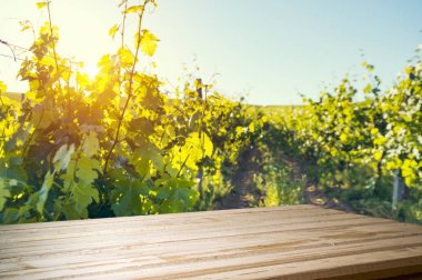 Tuscany, İtalya 'da üzüm bağında kırmızı şarap