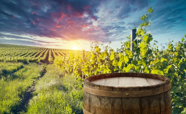 Red wine with barrel on vineyard in green Tuscany, Italy