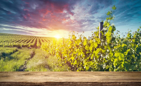 Red wine with barrel on vineyard in green Tuscany, Italy Stock Photo