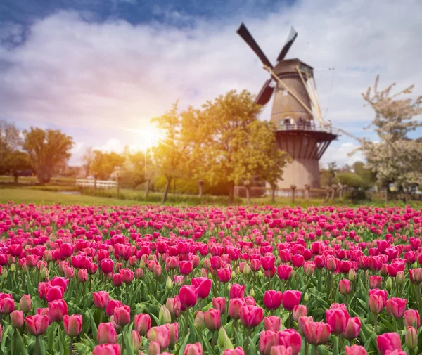 Amsterodamského kanálu při západu slunce. Amsterdam je hlavní a nejlidnatější město v Nizozemsku. — Stock fotografie