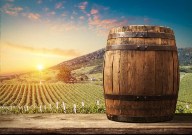 Tuscany, İtalya 'da üzüm bağında kırmızı şarap