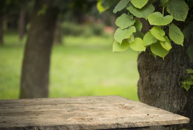 Doğanın bulanık ağaçlarına sahip ahşap zemin arka planda ve yaz mevsiminde ürün ekran montajı