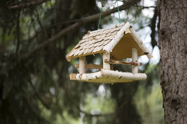 Kuş evi ve baştankara yeme besleme, sonbahar şeklinde açık yapılan evi