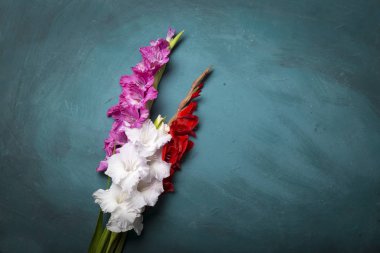 Ahşap arka plan üzerinde güzel Glayöl