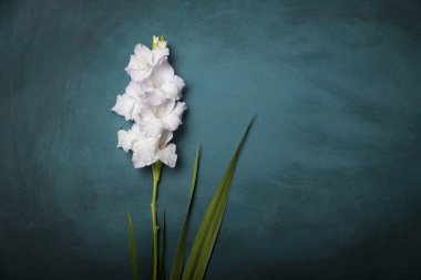 Ahşap arka plan üzerinde güzel Glayöl