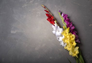 Ahşap arka plan üzerinde güzel Glayöl