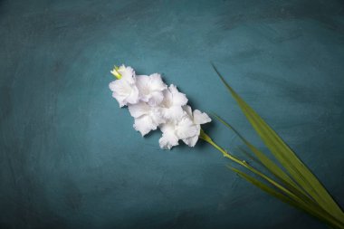 Ahşap arka plan üzerinde güzel Glayöl