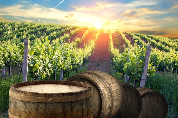 Red wine with barrel on vineyard in green Tuscany, Italy