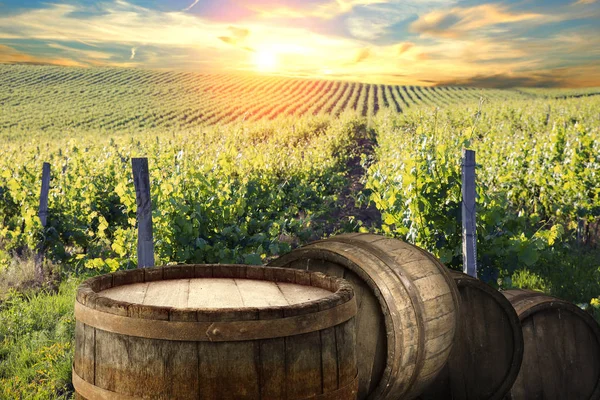 Red wine with barrel on vineyard in green Tuscany, Italy Stock Picture