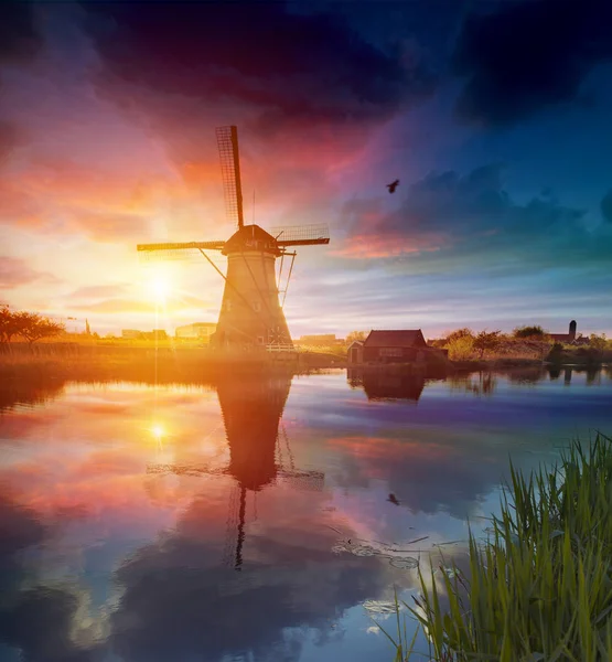 Landskap med tulpaner, traditionella holländska väderkvarnar och hus nära kanalen i Zaanse Schans, Nederländerna, Europa — Stockfoto