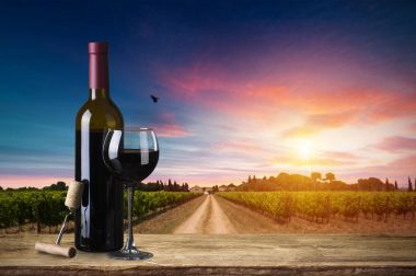 Tuscany, İtalya 'da üzüm bağında kırmızı şarap