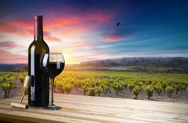 Tuscany, İtalya 'da üzüm bağında kırmızı şarap