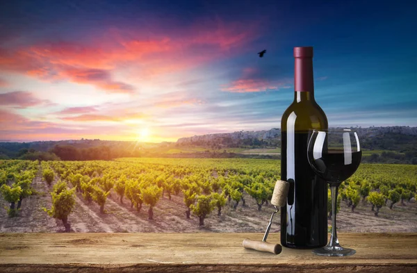 Tuscany, İtalya 'da üzüm bağında kırmızı şarap